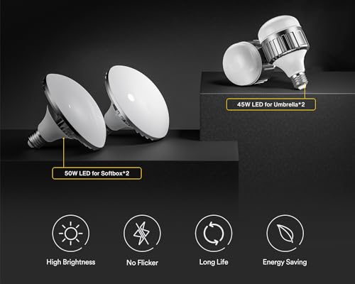 RALENO Fotostudio Set, 2,6m x 3m Hintergrund Stützsystem Greensreen Set, Softbox Studio Beleuchtungsset mit 5500K 97 CRI, 50W und 45W LED Lampen für Produkt Porträt Video Produktfotografie