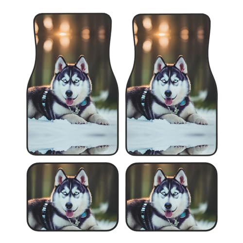 Tapis de sol de voiture imprimé husky pour stopper l'usure des sols