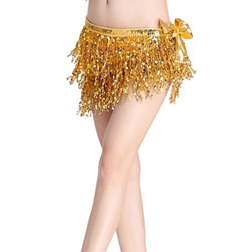 ZLTdream Women's Belly Dance Hip Scarf with Three Rows of Sequins Fringe