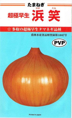 Amazon | カネコ種苗 タマネギ 浜笑 | 野菜