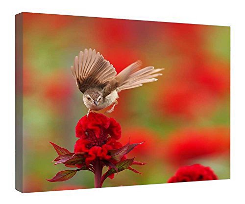 Toile moineau de 40x50cm pour créer une ambiance nature dans votre salon