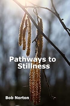 Paperback Pathways to Stillness: Removing the Layers of Illusion Book