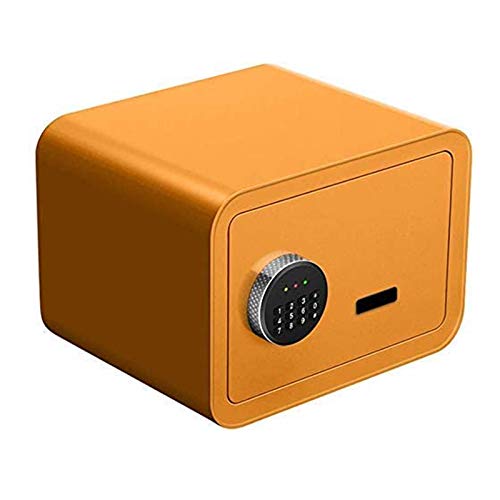 Armoire de sécurité électronique pour sécuriser vos souvenirs et objets de valeur