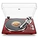 Belt Drive Turntable for Vinyl Record Player,Connect with Bluetooth Speakers or Active Speaker,Built-in Phono Pre-amp,USB Digital Output, Magnetic Cartridge,High-Gloss Wood Design(Red)