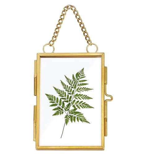 Genérico Cornice per foto a catena, supporto da parete in metallo con effetto fluttuante, struttura fine ed estetica | Decorazione VPOUR Visualizzazione di carte, disegni, ritratti, piante