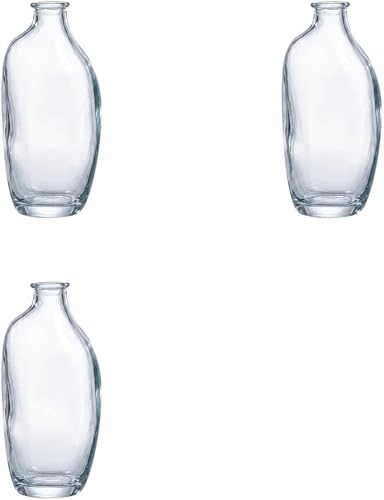 3 Pack - Retro Minimalist Irregular Vase — Transparent