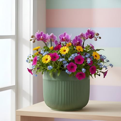 Image of Xtore Fresh Dual-Texture Ceramic Planter Pot for Indoor Plants | Contemporary Ribbed Flower Pot for Home, Office Desk & Balcony Decor (Matte Green - Planter only)