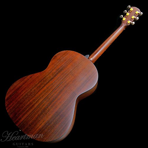 Amazon.co.jp: K.YAIRI RF-90 RB アコースティックギター ハードケース