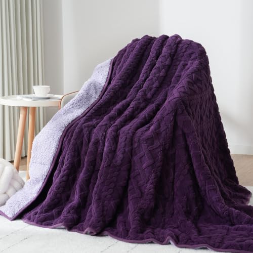 Image of Drewin Weighted Blanket for Adults Queen Size 15lbs, Soft Cozy Turtleback Sherpa Weighted Blankets for Sleeping and Calming, Thick Bed Blanket for Couch Bed, 60 x 80 inches, Dark and Light Purple