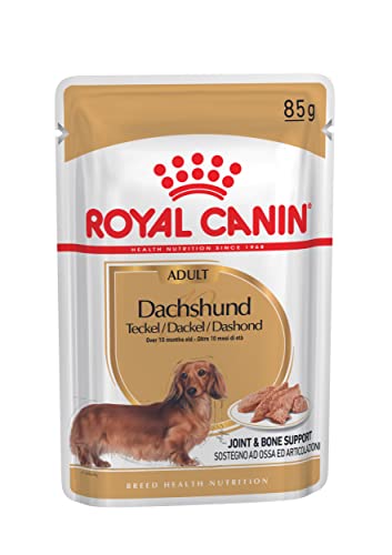 ROYAL CANIN Adult Bassotto Comida para Perros - Paquete de 12 x 85 gr - Total: 1020 gr