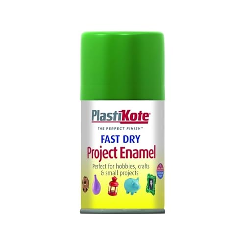 Supergift.Com Fast Dry Project Enamel Spray Paint, Perfect For Hobbies And Crafts (Graden Green, 100Ml)