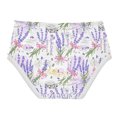 Lavender Flowers Toddler Girls's Underwear 2T 202c13252