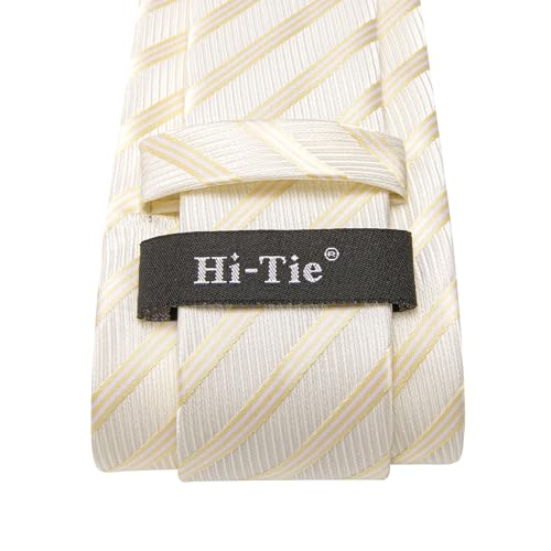 Image of Hi-Tie Mens Paisley Floral Striped Ties Set Silk Necktie and Lapel Pin for Men Pocket Square Cufflinks Set Business Wedding