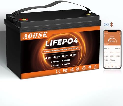 12V 100Ah LiFePO4 Bluetooth Battery - 100A BMS Lithium Iron Phosphate For RV Solar Marine