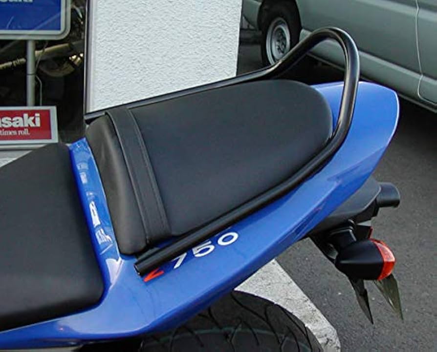 Amazon | レンテック(RENNTEC) グラブレール グラブバー Z750