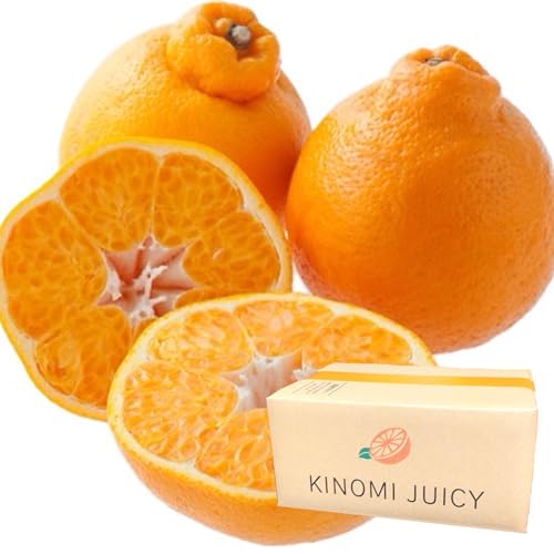 初物！デコポン 不知火 みかん 10kg 中〜大サイズ 肥の豊 S115531364