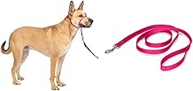 PetSafe Gentle Leader Headcollar, No-Pull Dog Collar, Raspberry Pink & Nylon Dog Leash - Strong, Durable, Traditional Style Leash with Easy to Use Bolt Snap - 3/4" x 6, Raspberry Pink