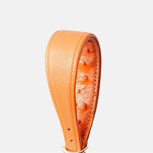 Collier pour chien robuste en cuir véritable vert ajustable en taille M - 5