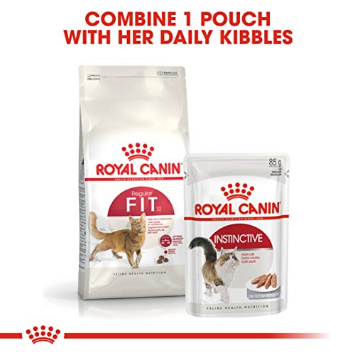 Royal-Canin-Fit-32-Adult-Dry-Cat-Food-Meat-Flavor-4-Kg