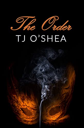 The Order view 2