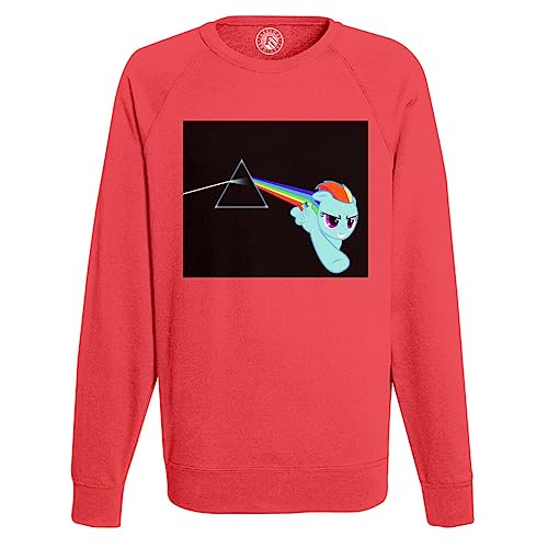 Sweatshirt Homme Dark Side of The Poney parodie rock en coton noir