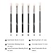 MSQ Eye Brush Set Rose Gold 6pcs Eyeshadow Set Eyebrow Brush Makeup Brushes Eyeliner Brush for Eyeshadow, Eyebrow, Eyeliner, Blending, Concealer, Best for Gifts