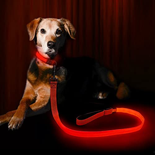 Candofly LED Dog Leash Rechargeable, 4 Ft Glow in The Dark Light Up Dog Leash, Nylon Reflective Dog Rope with Light for Small Medium Large Dogs (Orange) — view 5