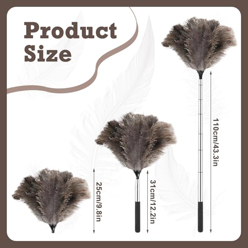 KWJEIULSOQ Feather Duster Extendable 35-110cm Ostrich Feather Dusters For Cleaning, Long Duster For High Ceilings,Lamps, Cabinets, Furniture