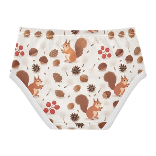Squirrel Chestnut Pinecone Toddler Girls's Underwear 2T 23006592