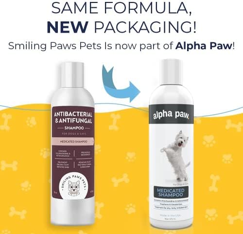 Best antifungal dog shampoo