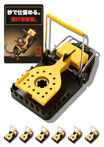 lY~߂ ˂݂Ƃ ̓ol ߊl l쏜 x Ɩp ƒp Qb쏜(6)