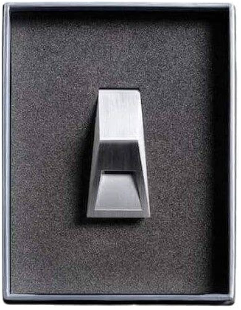 Amazon.com: XWNABB Tesla Tesla's Same Whistle cyberwhistle