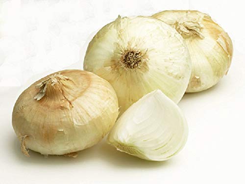 Onion 065 - Walla walla onion seed- 10