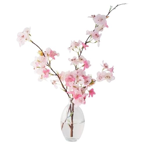 AȐ̉ԕȓ1 ԕrt ւsv  } ֑}  TN sakura ~U ftBjE F̉  A[eBtBVt[ EH[^[t[ }WJ