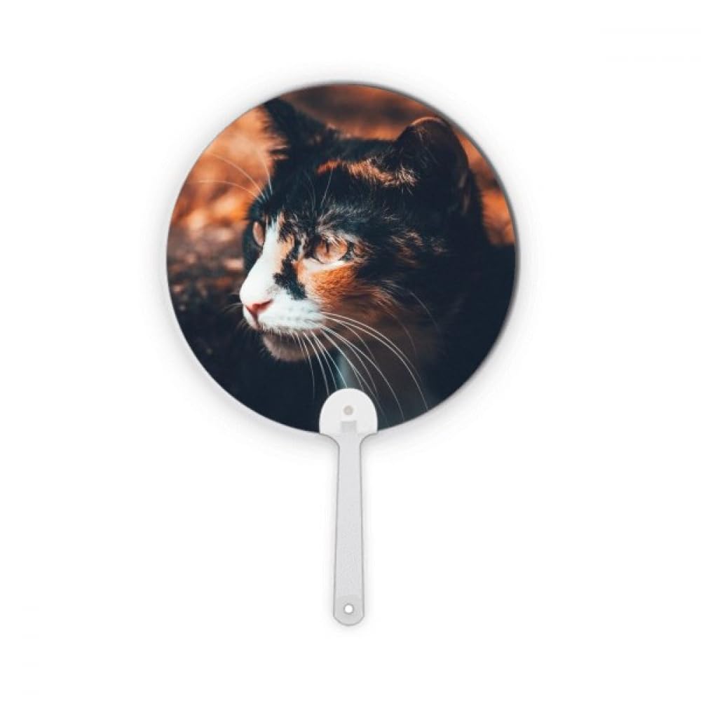 Éventail rond en plastique chat marron pour stopper les bouffées de chaleur en public