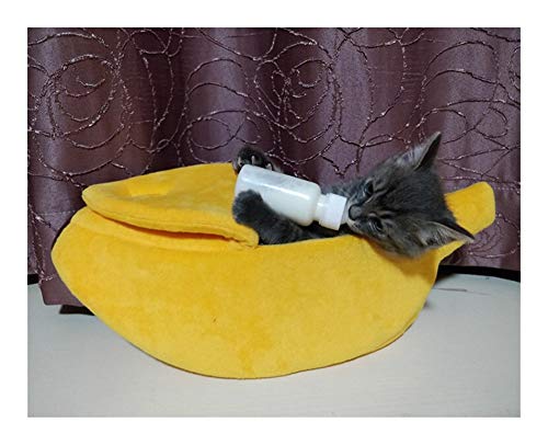 Maison coussin chat banane Zhochen chaud chiot tapis lits 50cm - 3