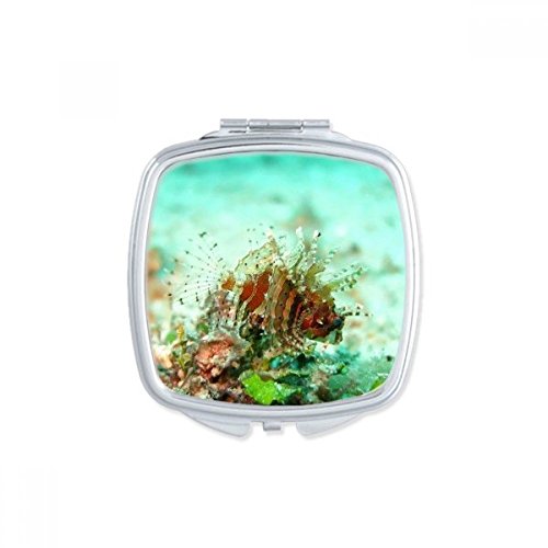 Miroir de poche Lionfish de mer maquillage portable compact multicolore