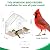 BTFSZ Clear Window Bird Feeder for Outside - Strongest Suction Cups 360° View Acrylic Design, Easy Fill & Clean Removable Tray-Perfect Christmasfor Gifts Bird Lovers, Kids, Grandparents,Cat Owners
