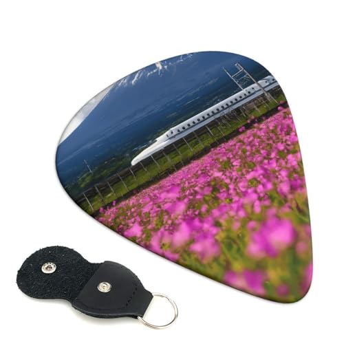 xmRƒʂV GLM^[ x[XpsbN EN M^[ S gCAO sbN 6Zbg 0.71mm