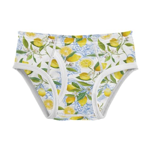Boys' Exclusive Briefs Toddler Underwear 95% Combed Cotton Boxerbriefs 2T Lemon and Butterfly Pattern 62