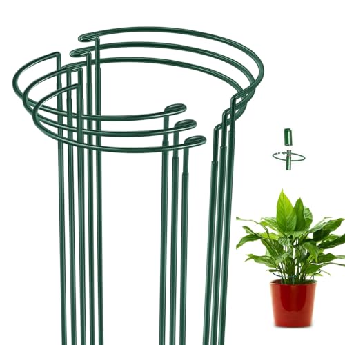 6 pièces Tuteurs pour Plantes, Anneau Support De, Jardin en Métal Plant Stake, Plantes Enjeu De Soutien, pour Jardin, Vignes, Pivoines Attendre (Semi-Circulaire 40 * 25cm, 6pcs)