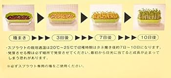 Amazon | ブロッコリースプラウト（種）40ml 3袋セット | 野菜