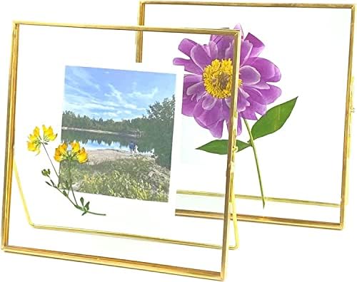 Beedecor Double Glass Frame for Pressed Flowers, Leaf and Artwork - Gold 6x6 Standing Square Metal Picture Frames, Tabletop Clear Floating Pressed Glass Frame, Home Decor Photo Display, Set of 2 Pressed Flower Frames with Stand (Gold, 6x6)