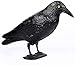 Produktbild AIlysa Taubenschreck Rabe Vogelscheuche Krähe Kunststoff, Taubenabwehr Halloween Dekoration