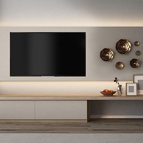 image for Armacost Lighting 840600 60 watt Dimmable Driver for LED Lighting, wit