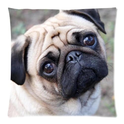 Violetpos Kissenhülle Deko Charming Mops-Hund Sofa Zierkissenbezug Auto Zierkissenbezüge Kissenbezüge Bettwaren & Bettwäsche Kopfkissen Kissen 40 x 40 cm