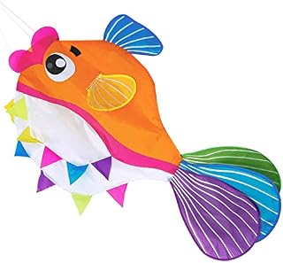 emma kites 29in Balloon Fish Windsock for Hanging Outdoor Garden Backyard Decoration Hanging Windsocks Rainbow Colours
