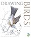 Drawing Birds