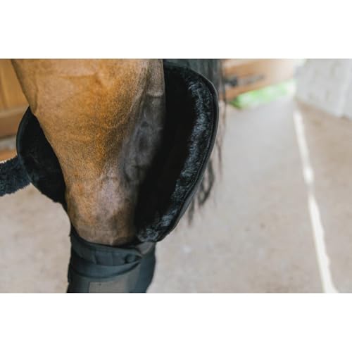 Sous bandage d'écurie et de transport avec protection de jarret noir haute résistance