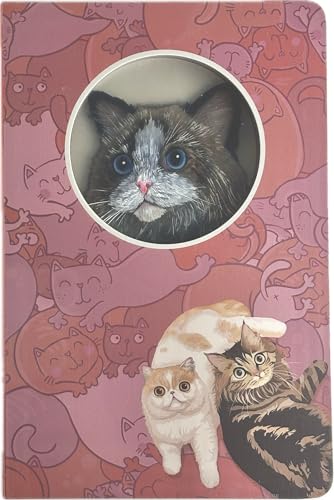 3Dm[g  L  킢 Aj} CXg Lbg (L-)